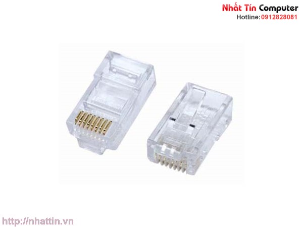 hat-mang-amp-tyco-rj45-hop-100-hat-dung-cho-day-mang-cat5e