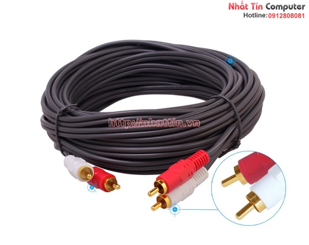 Bán cáp Audio 2-2 đầu hoa sen 10m Dtech DT-6204 chính hãng