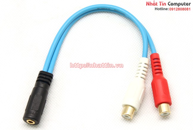 Cáp Audio 3.5mm to 2 RCA Dtech DT-6210 chính hãng