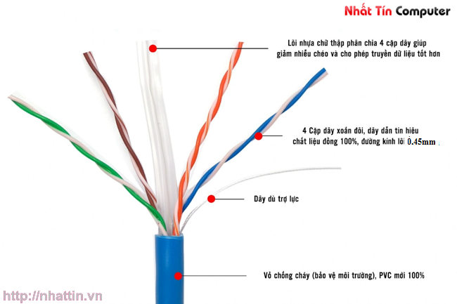 cap-mang-cat6-dai-305m-amtako-6777-