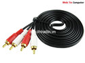 Cáp 2 đầu hoa sen 5m,10m
