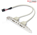 Cáp USB 2.0 ra 2 cổng dài 30cm 9 Pin cắm trong main